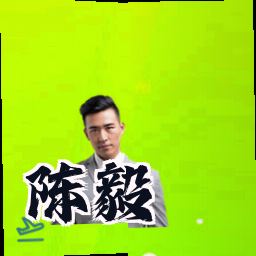 陈毅